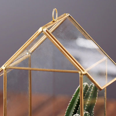 Mini-serre succulente géométrique formée par Chambre, conteneur d'usine d'air de support de bijoux fournisseur
