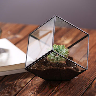 Soudure sans couture de mousse de Homeware de fleur d'usine de planteur en verre cubique géométrique de mini-serre fournisseur