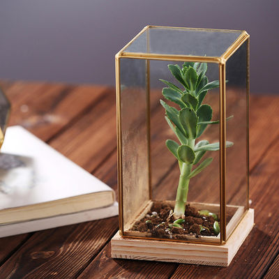 Mini-serre en verre d'usines succulentes décoratives en verre de Homeware de rectangle avec la base en bois fournisseur
