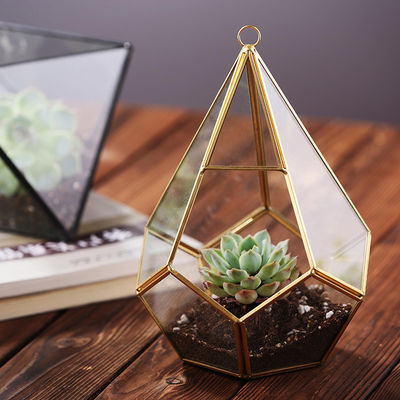 Mini-serre en verre géométrique accrochante de Homeware de fleur d'usine d'or succulent en verre de noir fournisseur