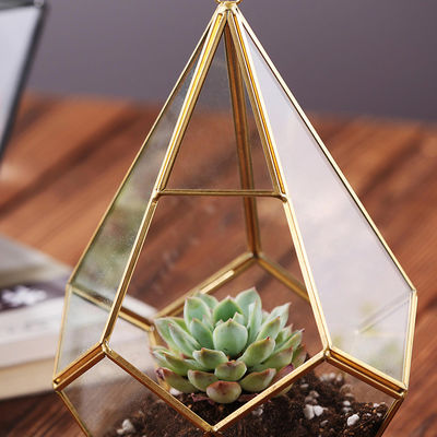 Mini-serre en verre géométrique accrochante de Homeware de fleur d'usine d'or succulent en verre de noir fournisseur