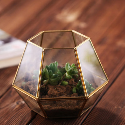 Vase géométrique en verre à affichage de fleur de la mini-serre DIY de Homeware de décor de table moderne fournisseur