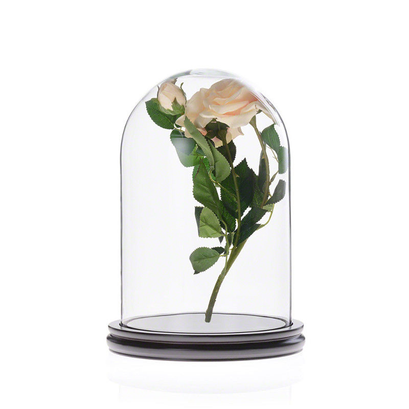 Couverture en verre préservée de cloche de Homeware d'affichage de Rose avec la base en bois noire fournisseur